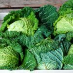 How To Harvest Cabbage - 6 Easy Steps 2 How to Harvest Cabbage - 6 Easy Steps