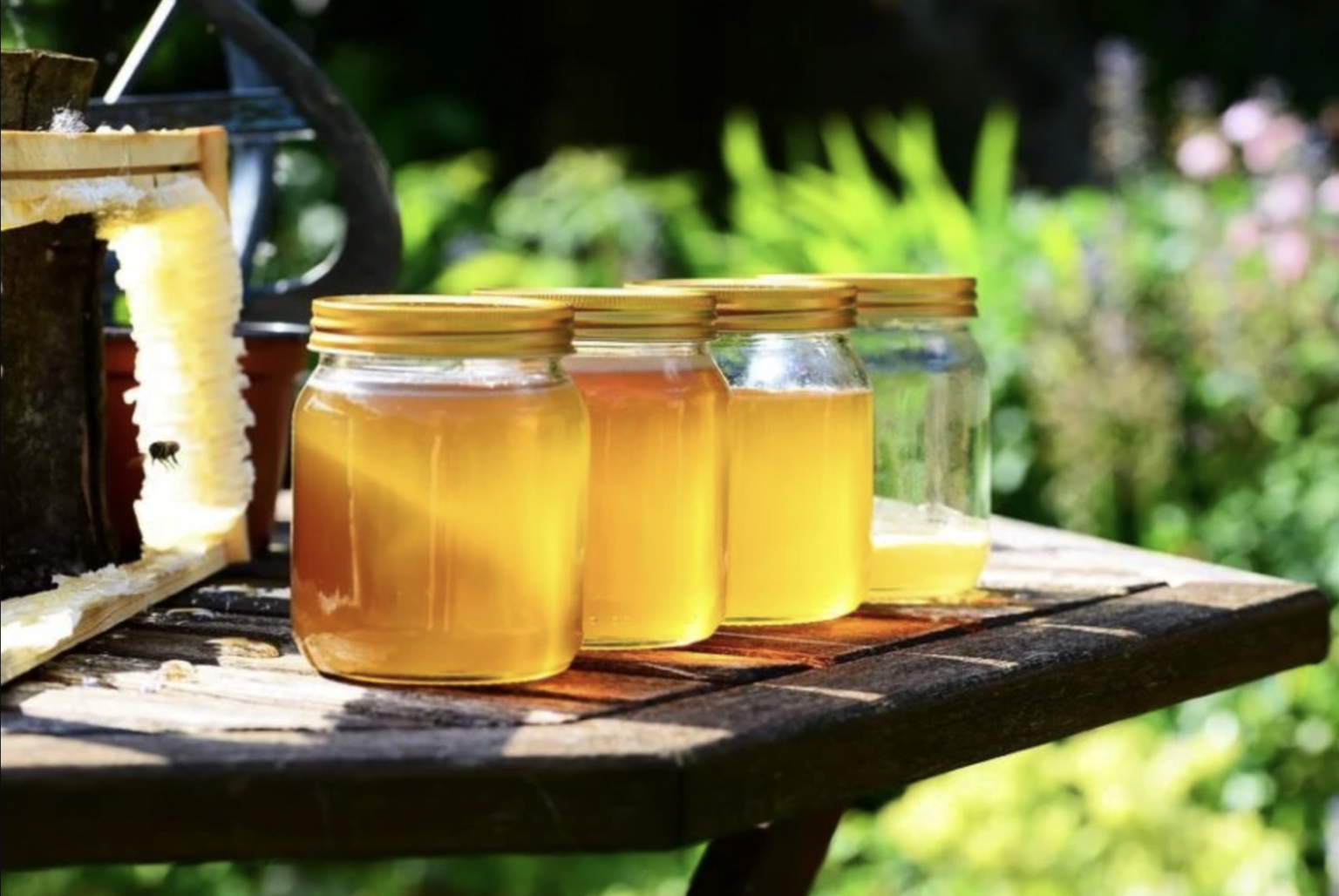 How To Harvest Honey - 5 Easy Steps