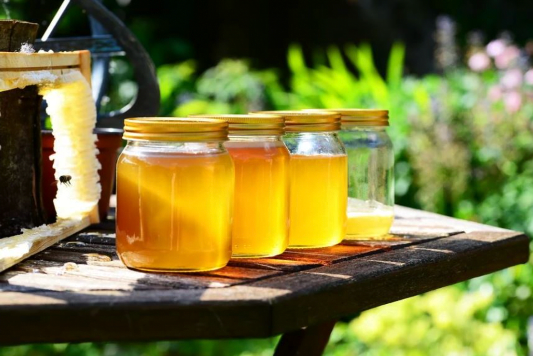 How To Harvest Honey - 5 Easy Steps 10 How to Harvest Honey