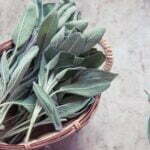 How To Harvest Sage - 3 Easiest Methods 3 How to Harvest sage