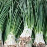 How To Harvest Chives - 4 Easy Steps 2 how to harvest chives