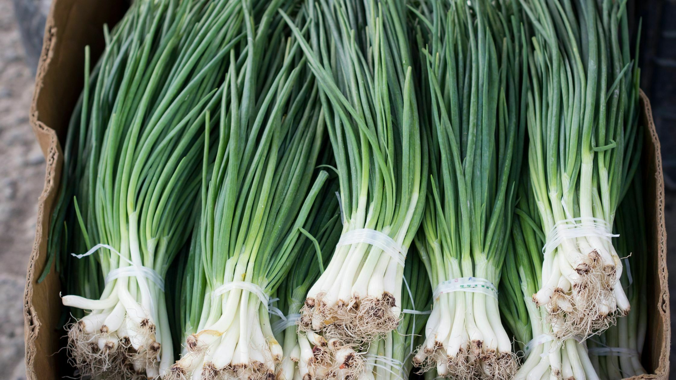 How To Harvest Chives - 4 Easy Steps 1 how to harvest chives
