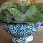 How To Harvest Collard Greens 4 how to harvest collard greens