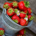 How To Harvest Strawberries