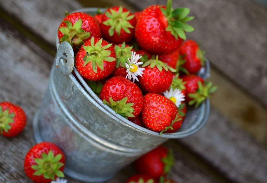 how-to-harvest-strawberries-4-easy-ways