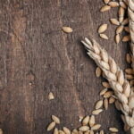 How To Harvest Wheat - 2 Easy Methods 2 How to Harvest Wheat - 2 Methods