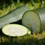 How To Harvest Zucchini - 3 Best Ways 2 How to Harvest Zucchini - 3 Best Ways