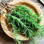 How To Harvest Rosemary - 3 Easy Steps 2 How to Harvest Rosemary